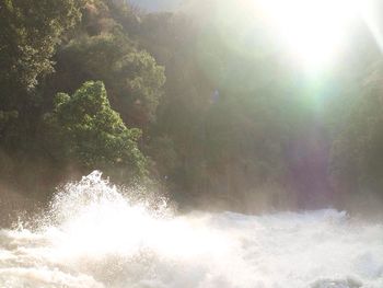 Scenic view of waterfall in forest