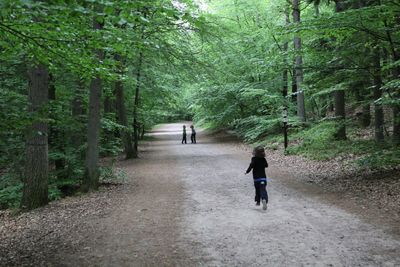 Rear view of people walking on footpath in forest