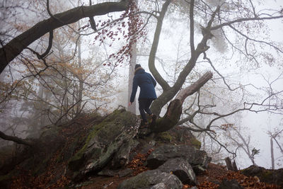 Man and bare tree in forest