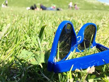 Close-up of grass on grassy field