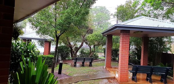 Trees and plants growing outside house in yard