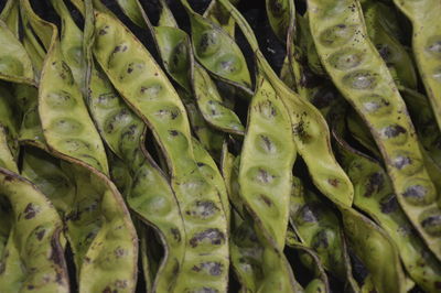 Full frame shot of leaves in market