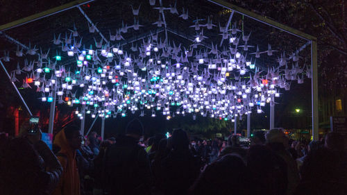 Group of people at music concert