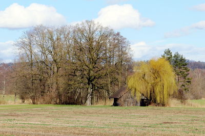 Trees on field against sky during autumn