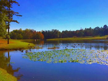 Scenic view of lake against blue sky