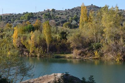 Scenic view of lake with trees in background