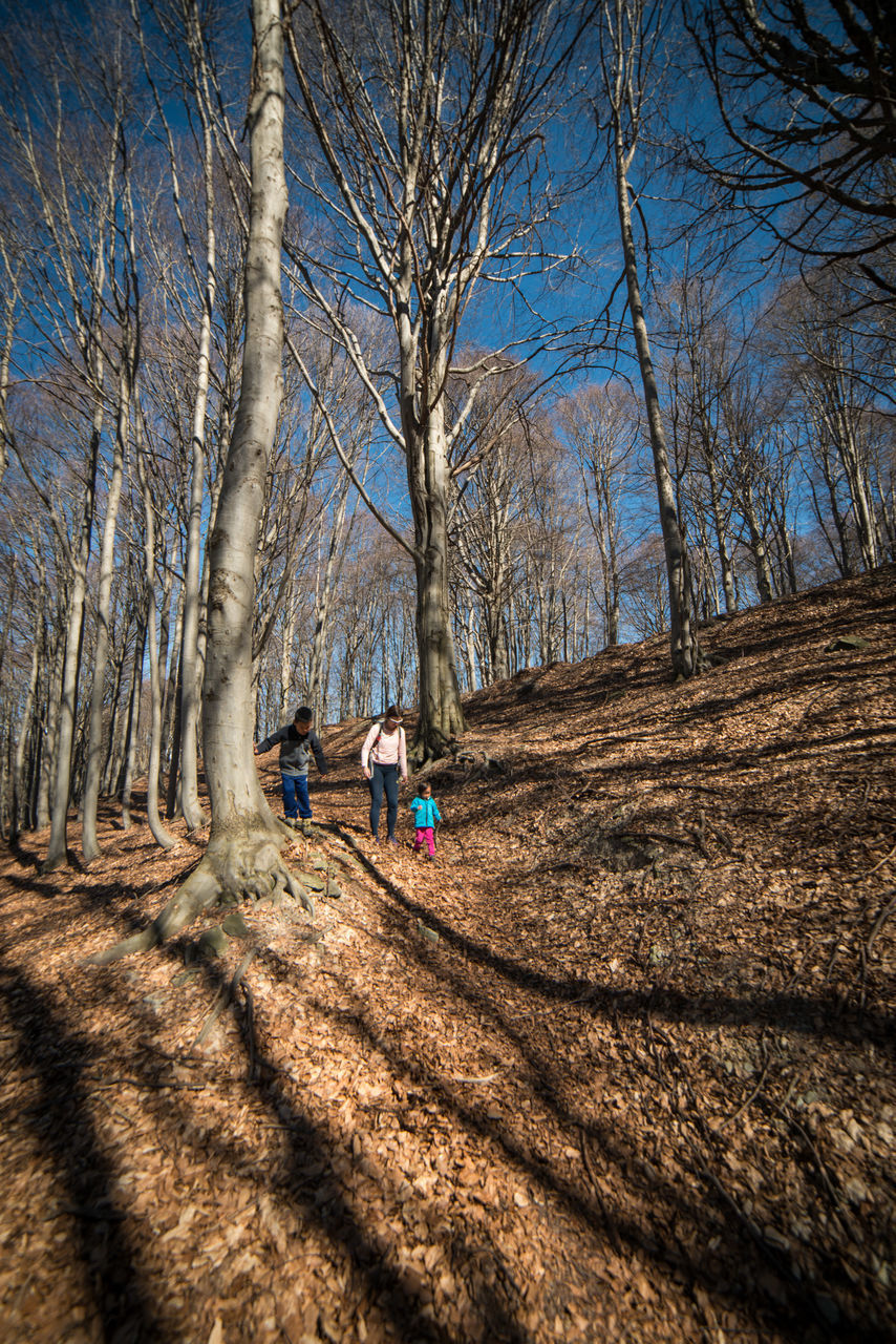 REAR VIEW OF PEOPLE WALKING ON ROAD IN FOREST