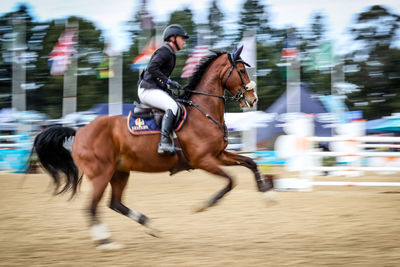 Man riding horse running