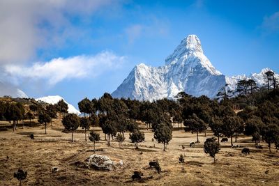 Scenic view of snowcapped mountains against sky