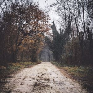 Dirt road amidst bare trees in forest