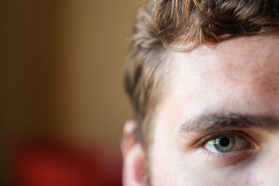 Eyes green young man. young beautiful freckles curly woman face portrait with healthy skin. 