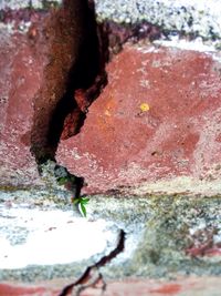 Close-up of weathered wall