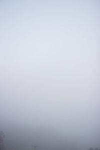 Scenic view of fog in foggy weather