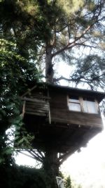 Low angle view of trees and building against sky