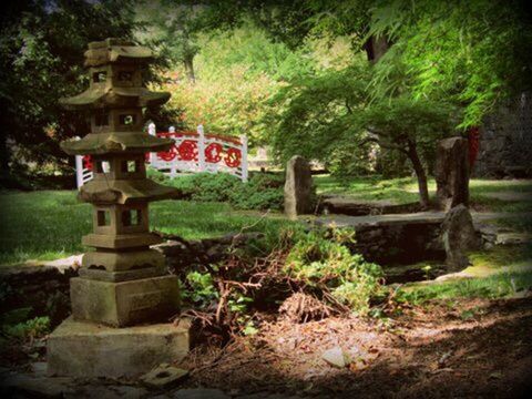 cemetery, tree, outdoors, grave, no people, day, nature, grass, close-up