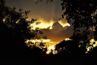 Low angle view of silhouette trees against sky at sunset
