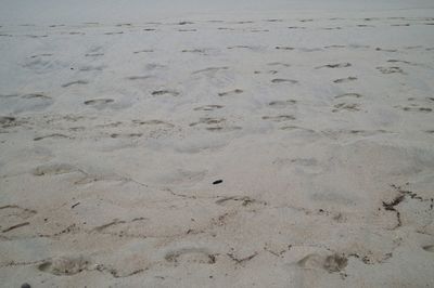 High angle view of footprints on sand at beach