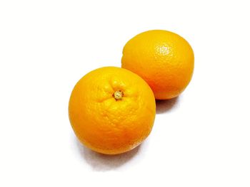 Close-up of orange fruit against white background