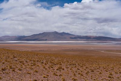Scenic view of desert against sky