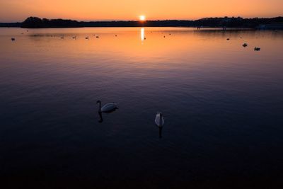 Scenic view of sunset over lake