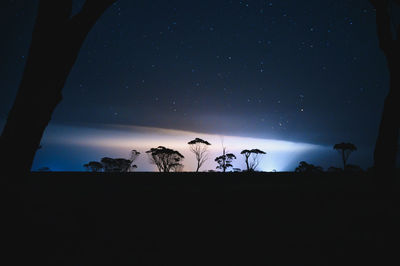 Silhouette people by tree against sky at night