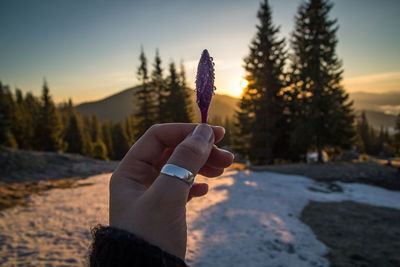 Cropped hand of woman holding ice cream cone