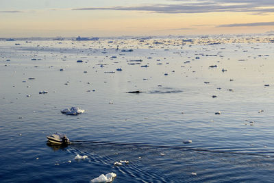 High angle view of boats in sea at sunset