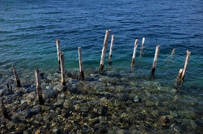 Scenic view of sea