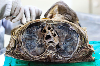 Close-up of human skull on table