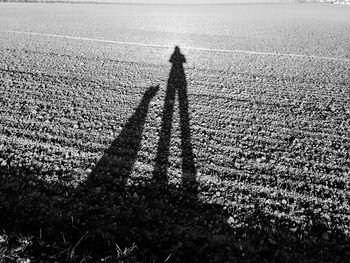 Shadow of man standing on shore