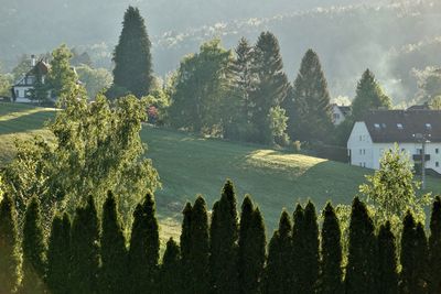 Panoramic view of trees and buildings against sky