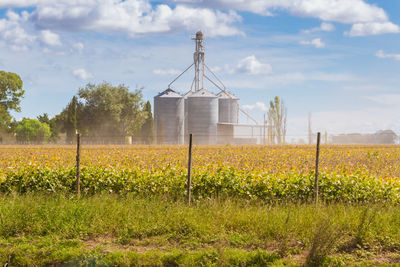 Scenic view of agricultural field against sky