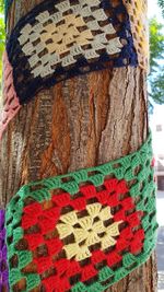 Close-up of multi colored tree trunk