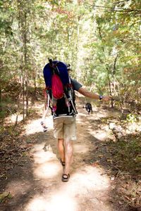 Rear view of man walking on footpath in forest