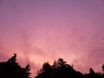 Low angle view of silhouette trees against sky during sunset