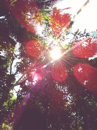 Low angle view of trees against sky