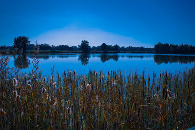Scenic view of lake against blue sky