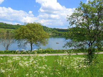 Scenic view of lake against sky