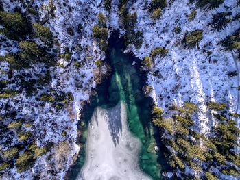 Aerial view of lake and snow covered forest during winter