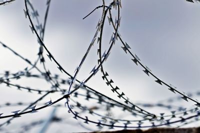 Close-up of barbed wire against sky