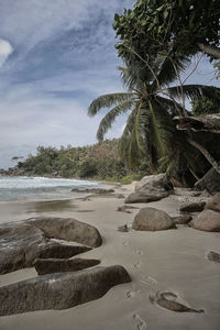 Scenic view of beach against sky