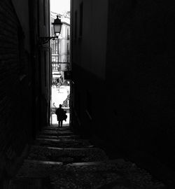 Rear view of man with dog against sky