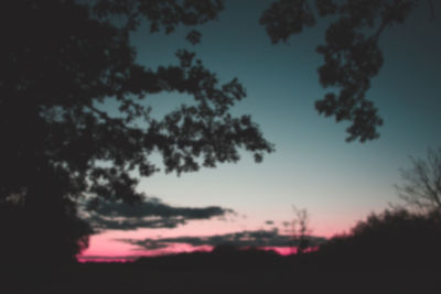 Low angle view of silhouette trees against sky at sunset