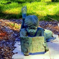 Cat on grass by water