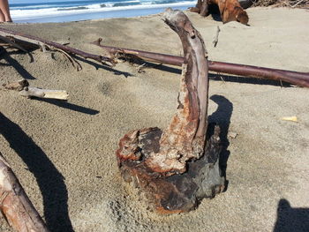 Shadow of people on sunny day