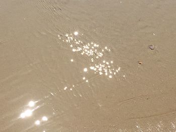 High angle view of rippled water on beach