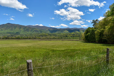 Scenic view of landscape against sky