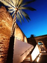 Low angle view of palm tree against sky