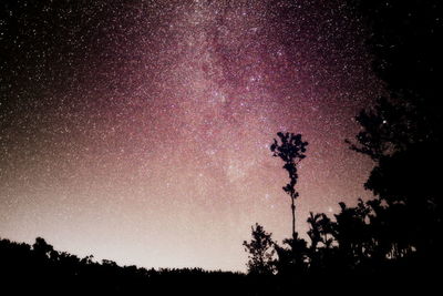 Low angle view of star field against star field