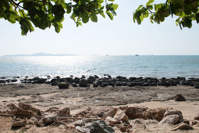 Scenic view of sea against clear sky